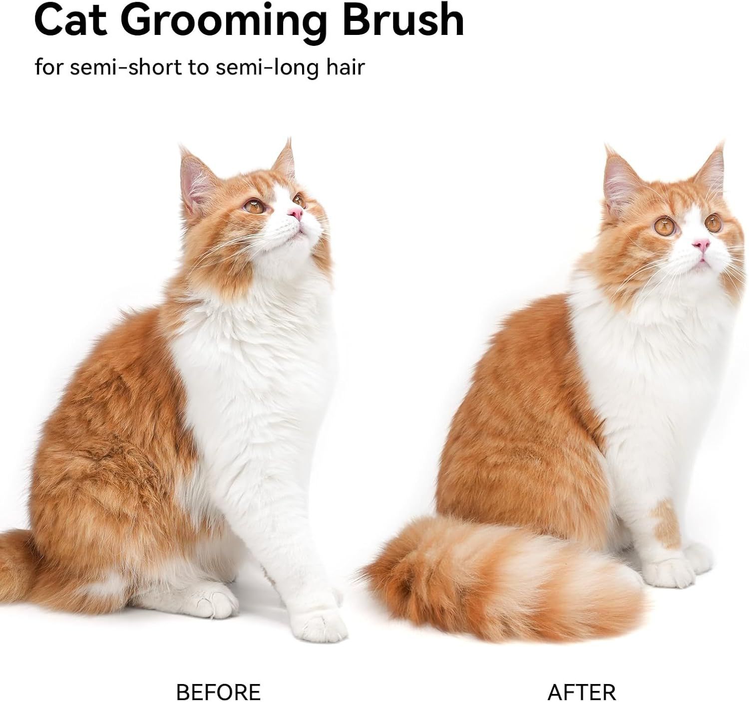 Cat Brush with Release Button - Image 3